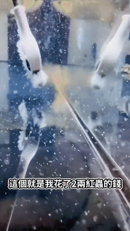 1679218213385503.gif