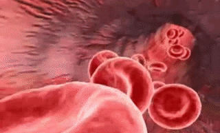 1755094995989904.gif