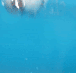 1755095879880815.gif